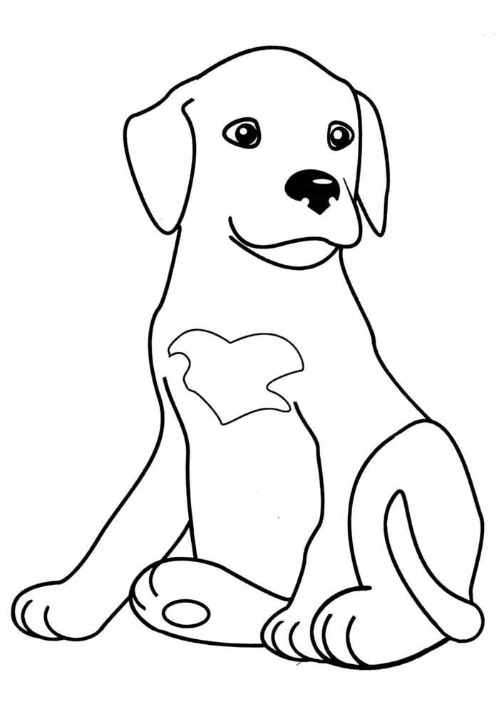 Desenho para colorir Cachorro